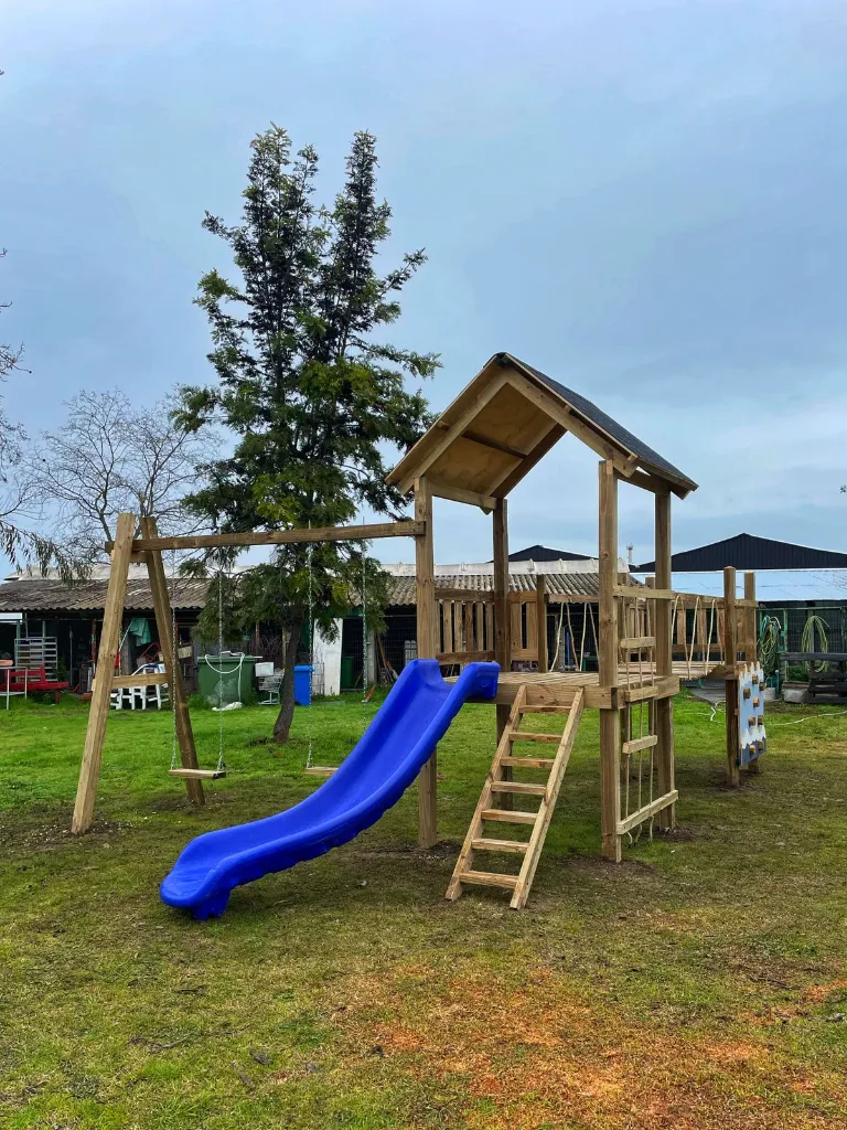 curvo con estructura madera.webp
